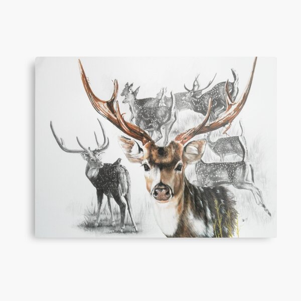 Axis Deer Wall Art Redbubble