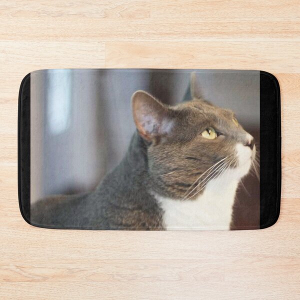 Item preview, Big Grey Cat designed and sold by MooseDogPhotos.