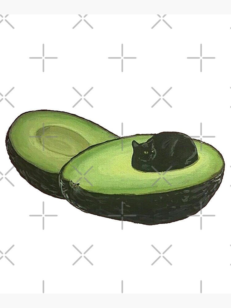 Avocado Cat by GuyBlank