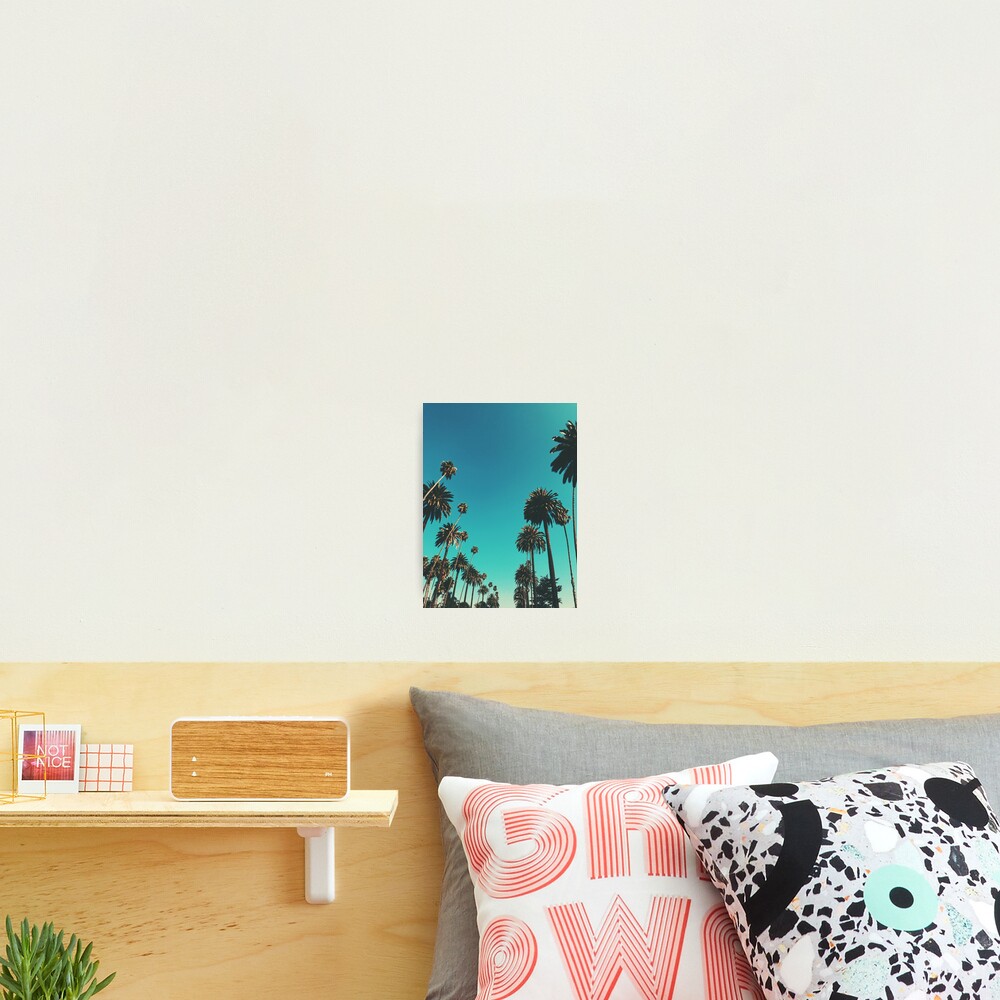 Los Angeles Palm Trees Photographic Print