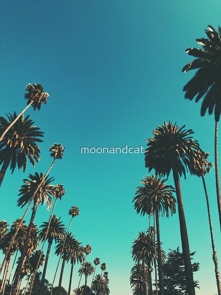 Los Angeles Palm Trees by moonandcat