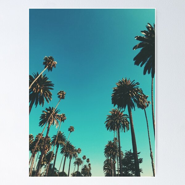 Item preview, Los Angeles Palm Trees designed and sold by moonandcat.