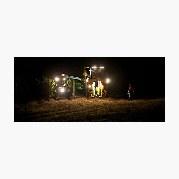 Night Harvest Photographic Print