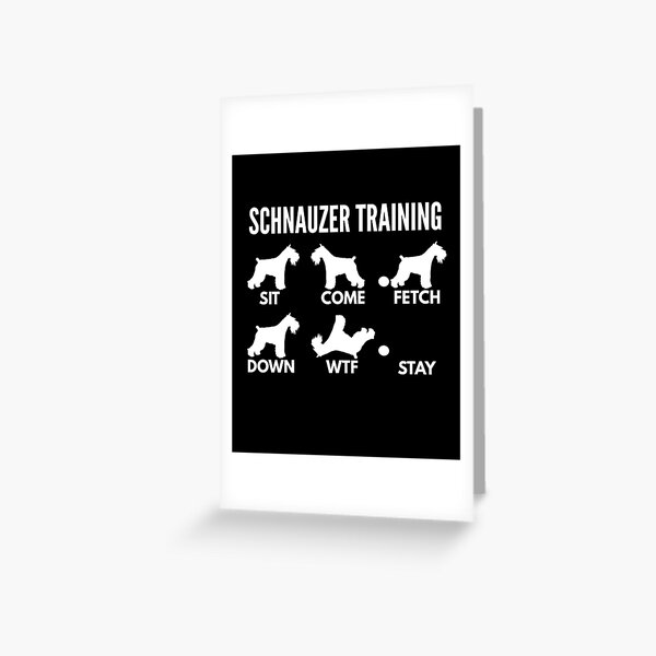 Item preview, Schnauzer Training - Giant Schnauzer Tricks designed and sold by DoggyStyles.