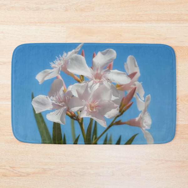 Item preview, Soft White Blooms designed and sold by Dave Hare Photography.