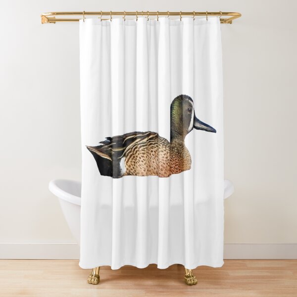 Blue-Winged Teal Shower Curtain
