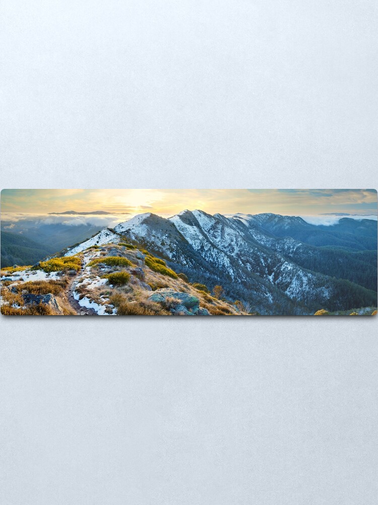 Alternate view of Cross Cut Saw, Mt Howitt, Alpine National Park, Victoria, Australia Metal Print