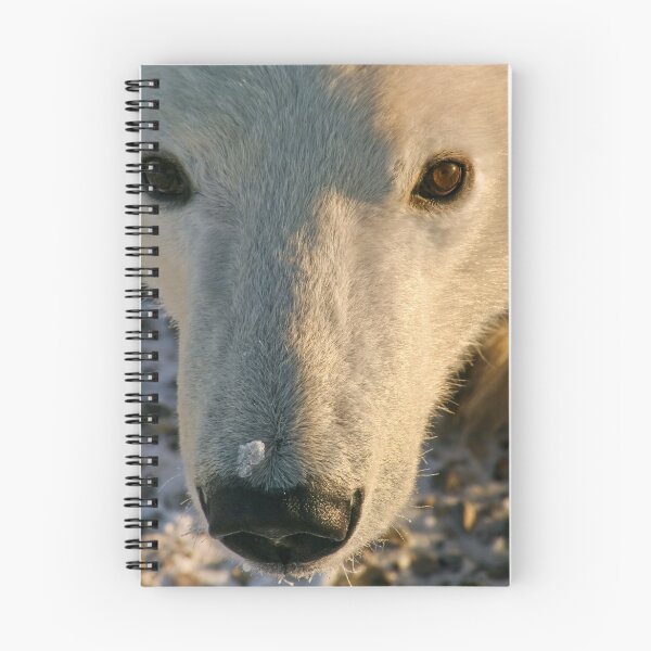 Item preview, Looking up for hope designed and sold by Owed To Nature.