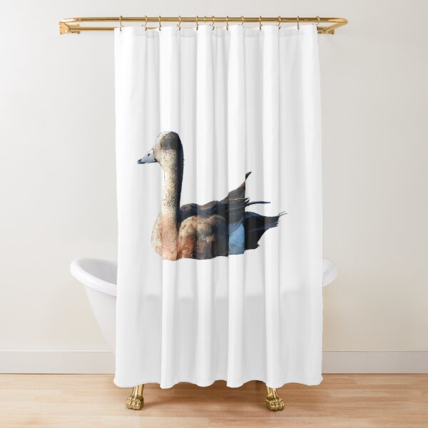 American Wigeon Shower Curtain
