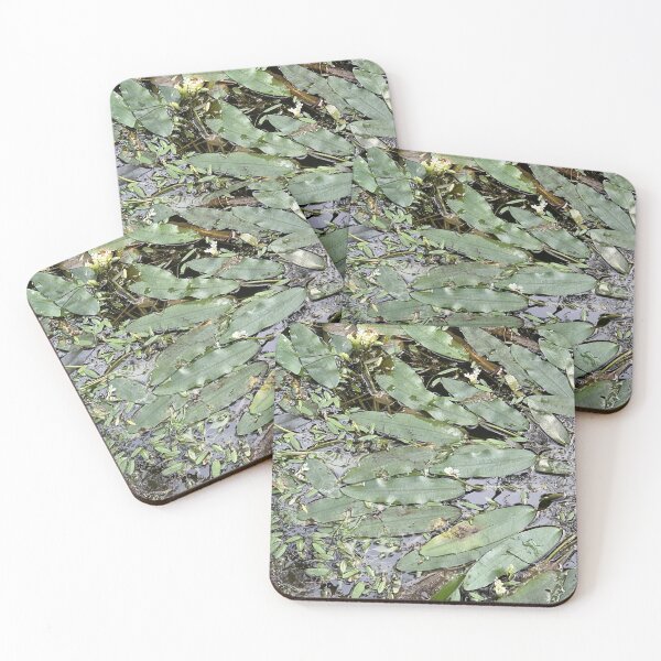 Item preview, Leaves on the water designed and sold by agnessa38.