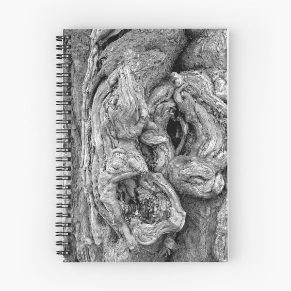 Item preview, Trunk designed and sold by Giuseppe Cocco.