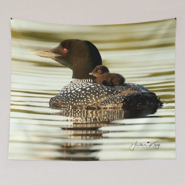 Item preview, Common loon and her chick designed and sold by locustgirl.