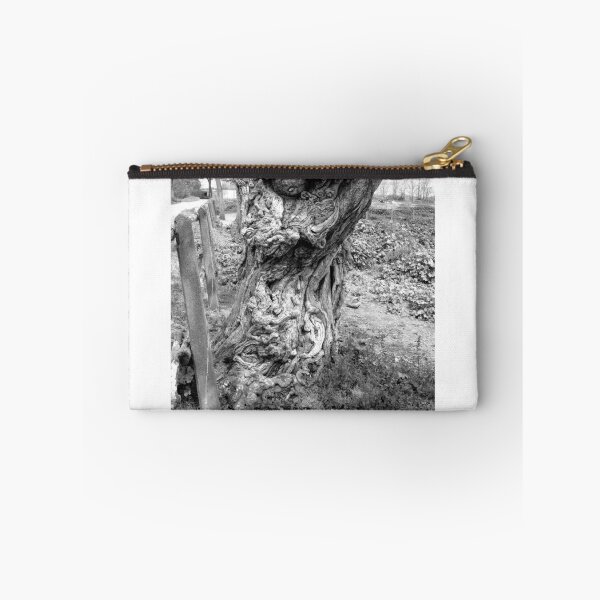 Item preview, Trunk designed and sold by Giuseppe Cocco.