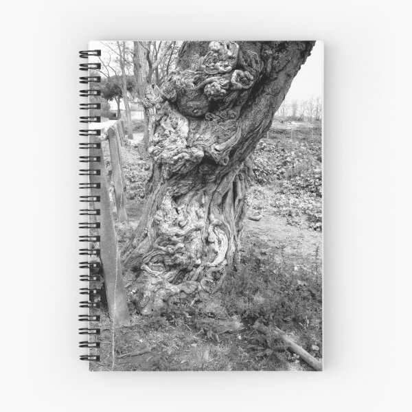 Item preview, Trunk designed and sold by Giuseppe Cocco.
