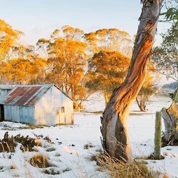 Artwork thumbnail, Howitt Hut, Alpine National Park, Victoria, Australia by Michael Boniwell