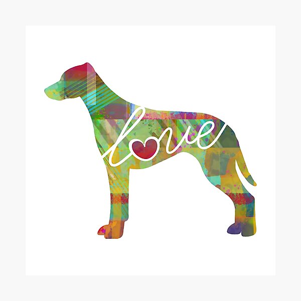 Artikelvorschau, Rhodesian Ridgeback Love - Ein helles und farbenfrohes Geschenk im Aquarellstil entworfen und verkauft von traciwithani.