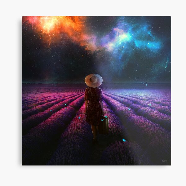 Lavender Dreams Metal Print
