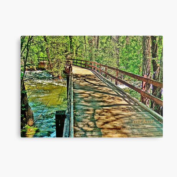 Roaring Fork River, Aspen 3 Metal Print