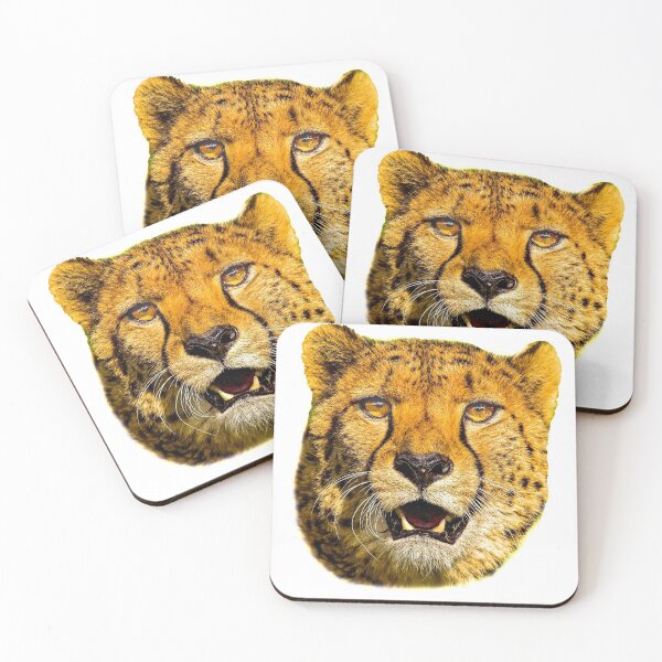 Item preview, Cheetah stare designed and sold by Dalyndigital Photography.