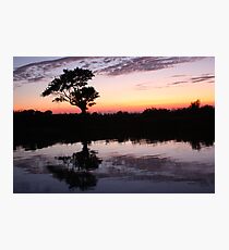Album Art Photographic Print