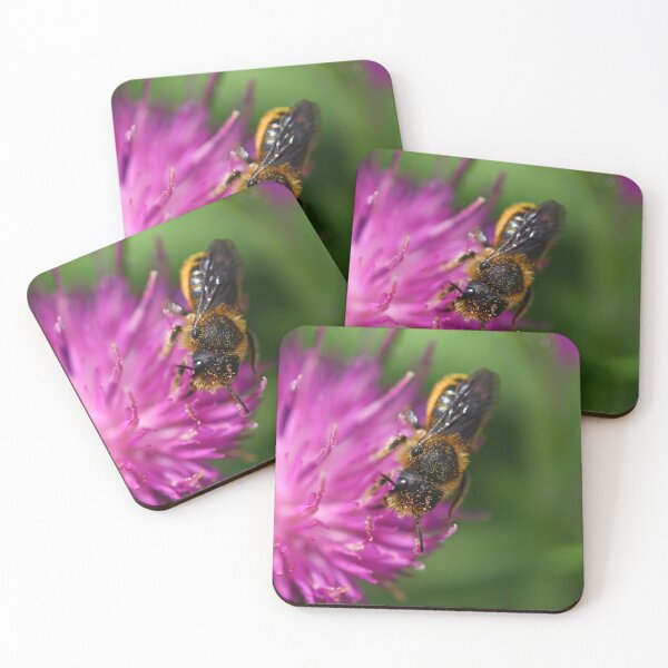 Item preview, Solitary bee on a thistle designed and sold by GreyFeatherPhot.