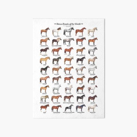 Item preview, Horse Breeds Of The World designed and sold by Inna Soyturk.