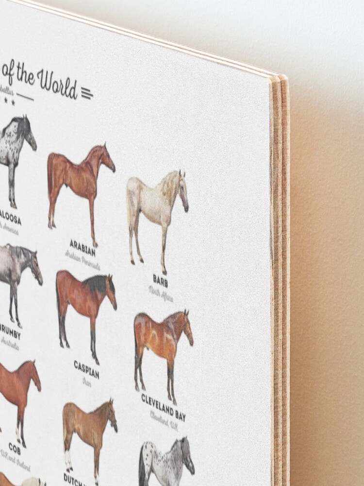 Alternate view of Horse Breeds Of The World Mounted Print