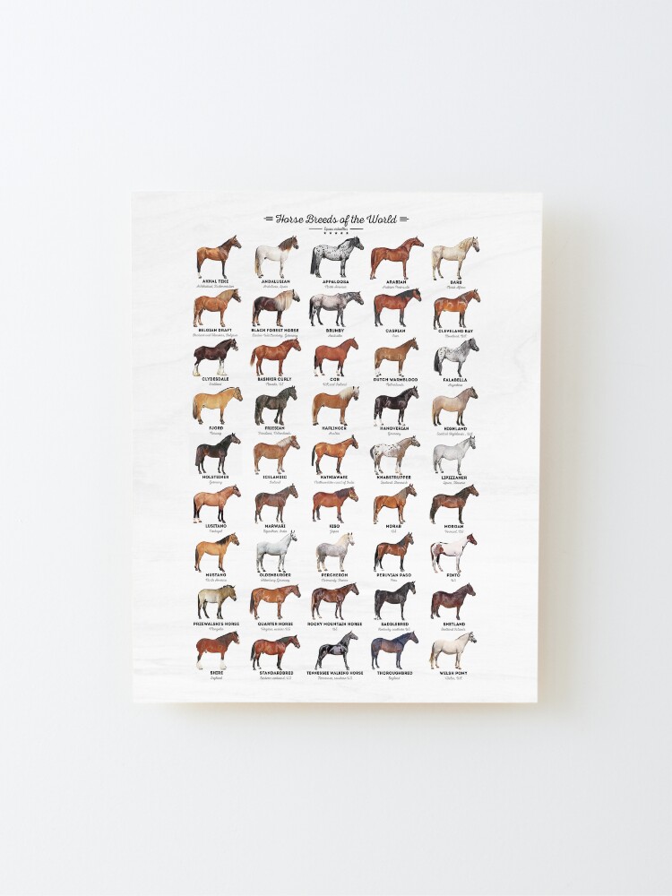 Alternate view of Horse Breeds Of The World Mounted Print