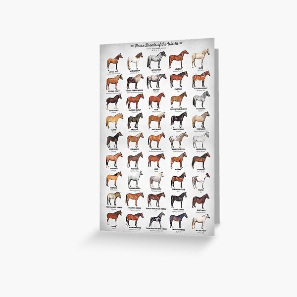 Item preview, Horse Breeds Of The World designed and sold by Inna Soyturk.