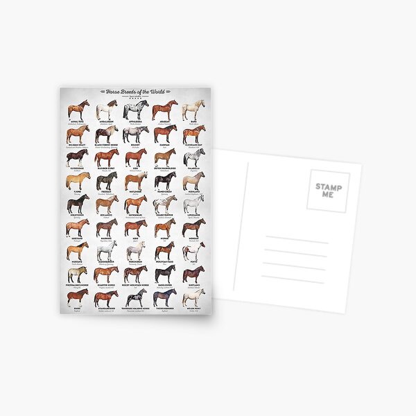 Aperçu de l'œuvre Races de chevaux du monde créée et vendue par Inna Soyturk.