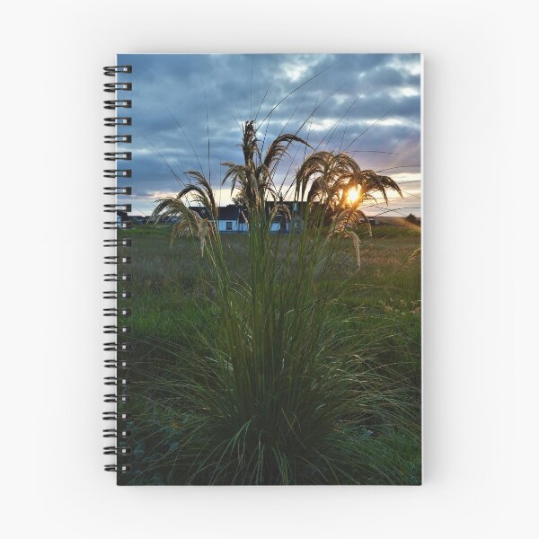 Item preview, Pampas Sunset designed and sold by jmnicolson.