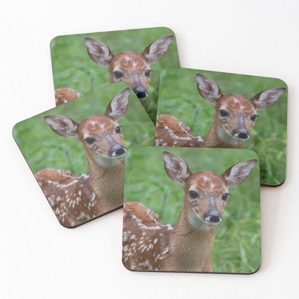 Item preview, Alert Fawn designed and sold by SEEphotos7171.