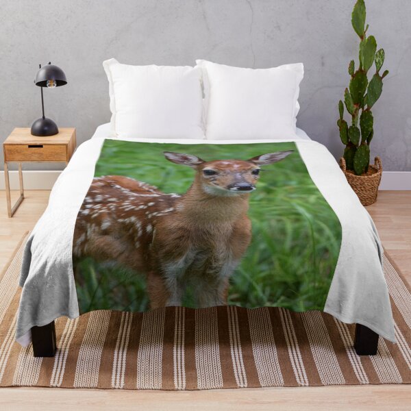 Item preview, Alert Fawn designed and sold by SEEphotos7171.