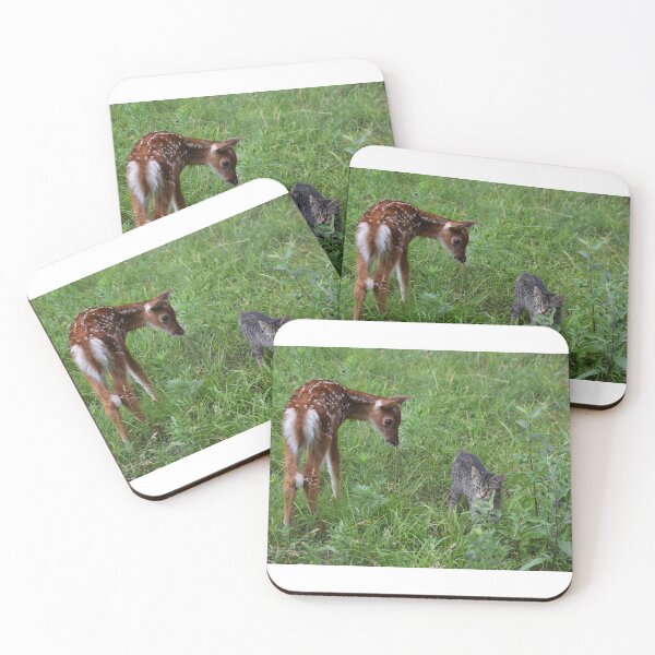 Item preview, Deer Meets Cat designed and sold by SEEphotos7171.