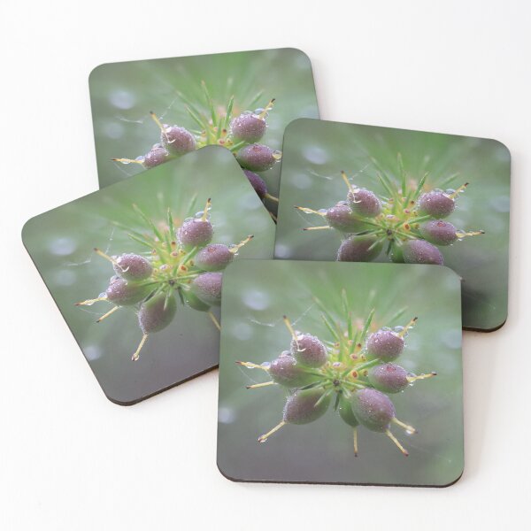 Item preview, Drupes designed and sold by ausnative.