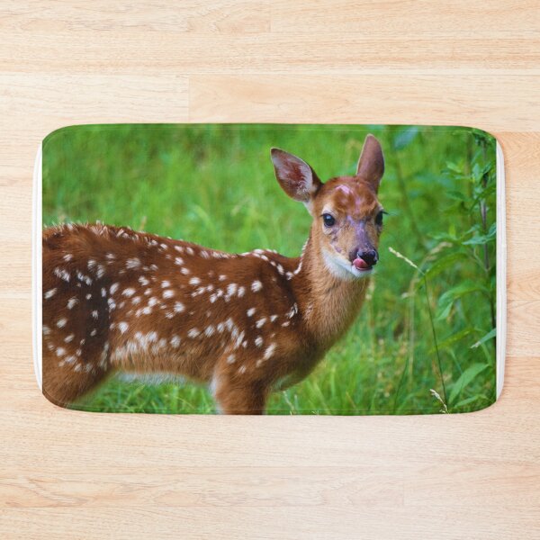 Item preview, Adular designed and sold by SEEphotos7171.