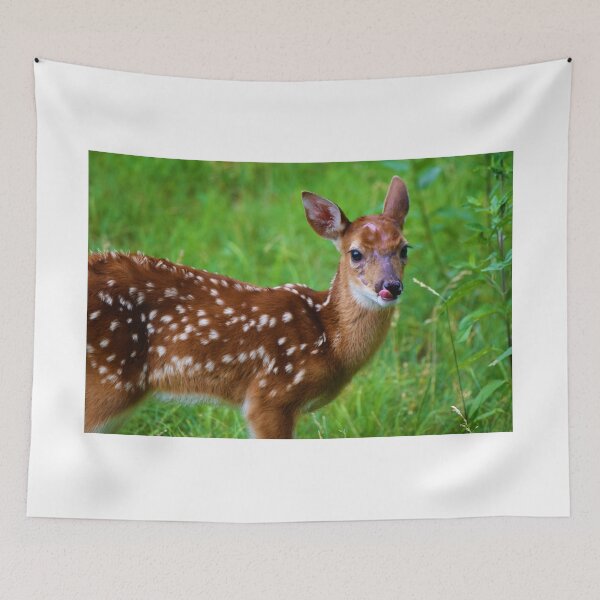Item preview, Adular designed and sold by SEEphotos7171.