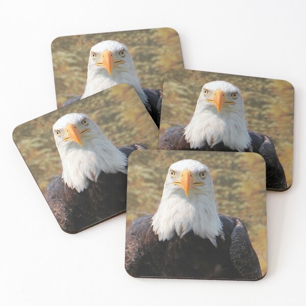 Item preview, Bald Eagle designed and sold by vette.