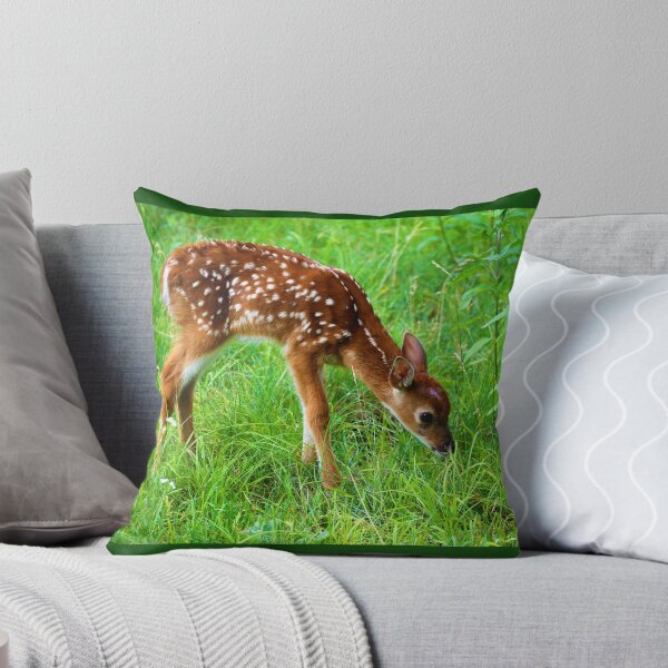 Item preview, Fawn in a Lawn designed and sold by SEEphotos7171.
