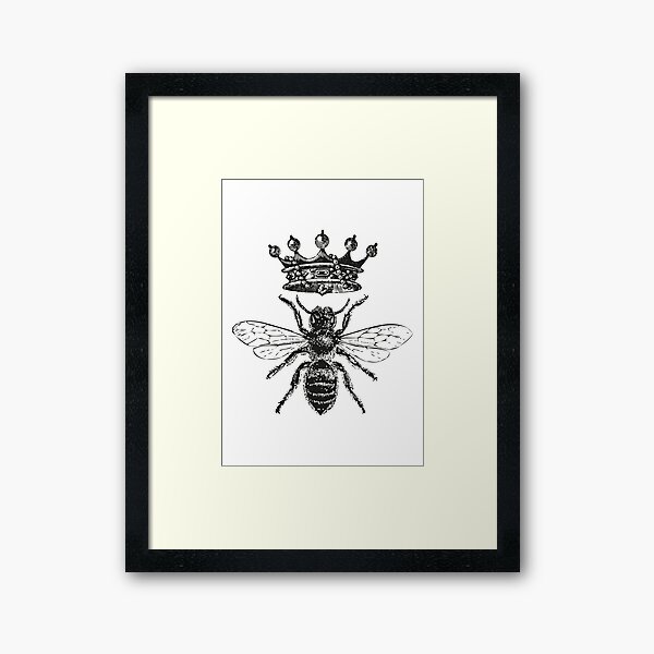 Queen Bee | Vintage Honey Bees | Black and White |  Framed Art Print