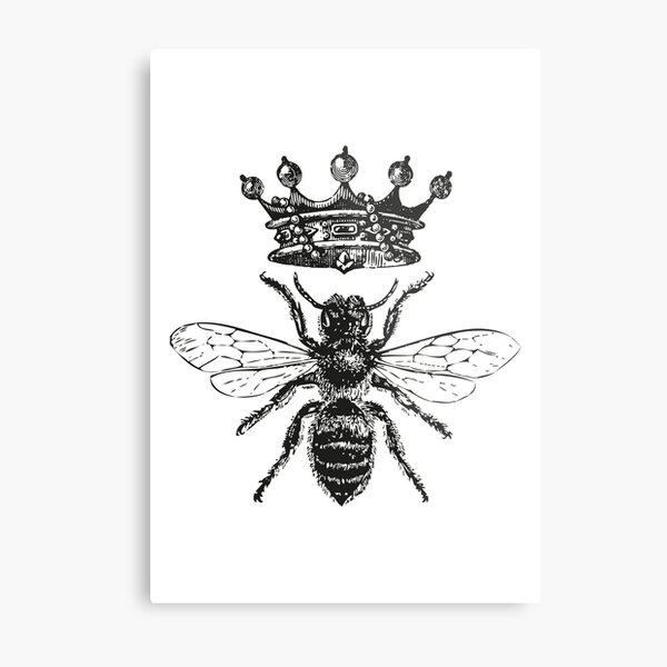 Queen Bee | Vintage Honey Bees | Black and White |  Metal Print