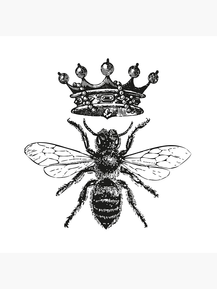 Discover Queen Bee | Vintage Honey Bees | Black and White | Throw Pillow