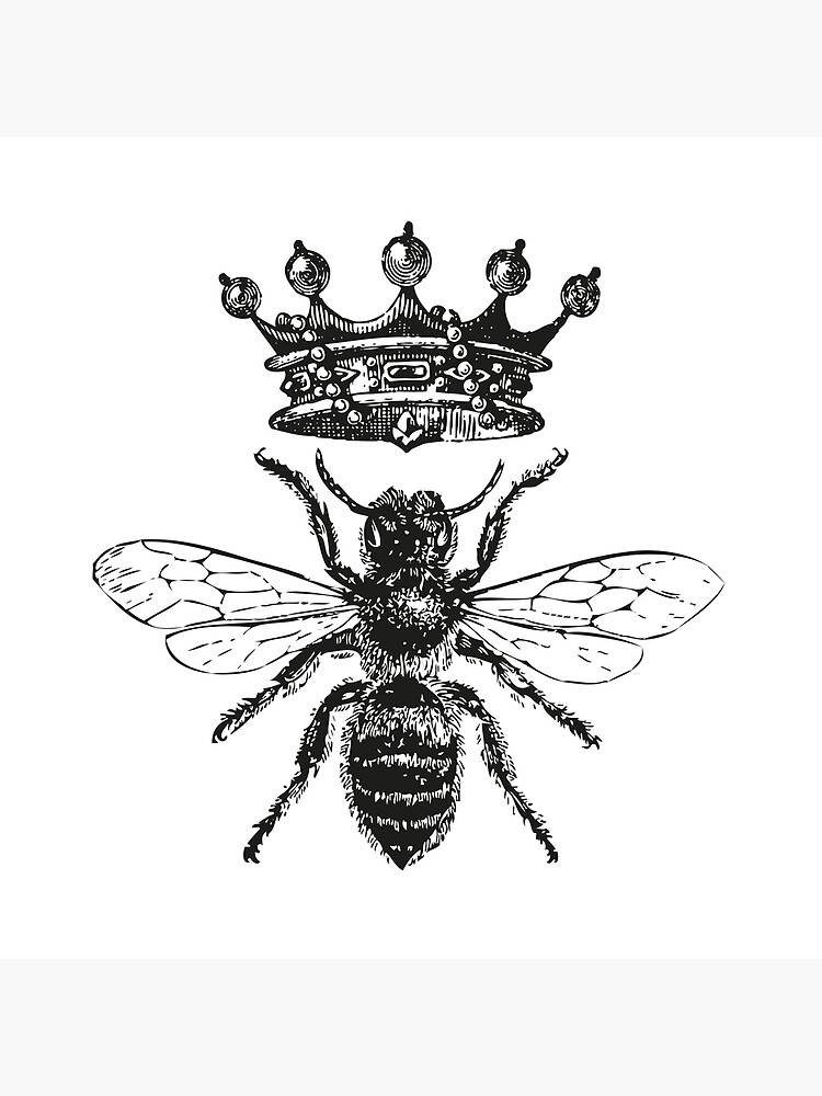 Queen Bee | Vintage Honey Bees | Black and White | by EclecticAtHeART