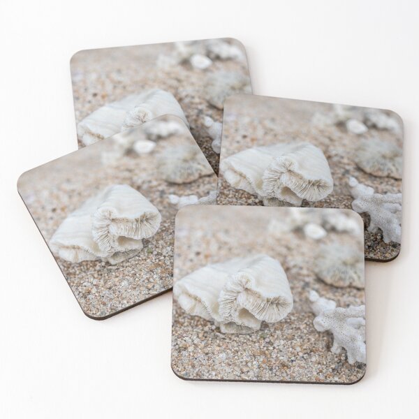 Item preview, shells on the beach designed and sold by justine Gordon.