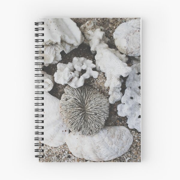 Item preview, sea shells designed and sold by justine Gordon.
