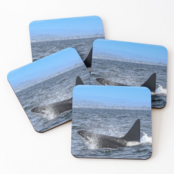 Item preview, Orca CA171B designed and sold by Selena Rivera.