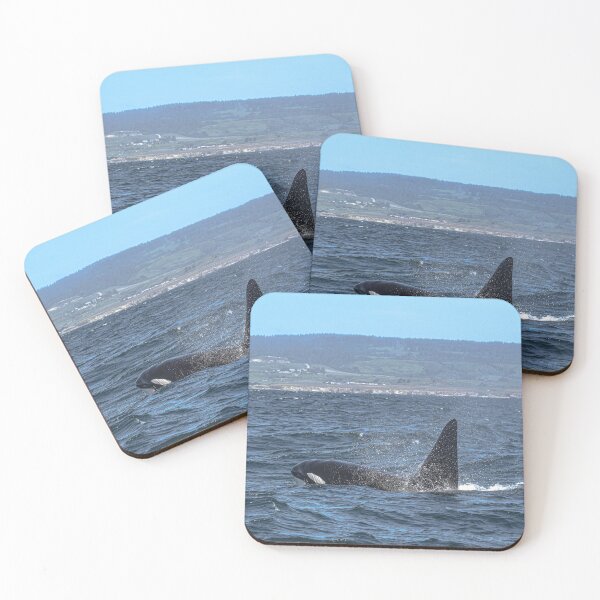 Item preview, Orca CA171B designed and sold by Selena Rivera.