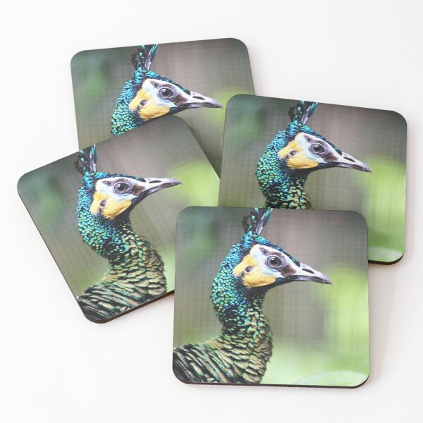 Item preview, Green Peafowl designed and sold by AviarylifeMag.
