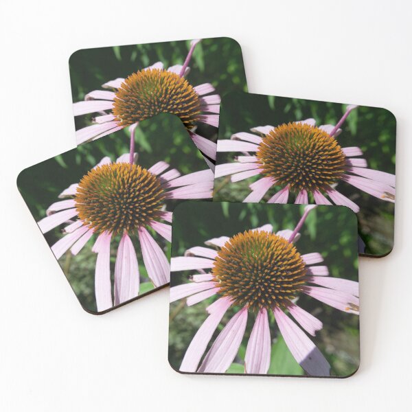 Item preview, Cone Flower designed and sold by ArtGalt.