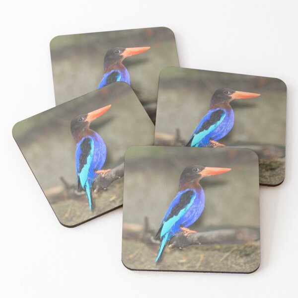 Item preview, Javan Kingfisher designed and sold by AviarylifeMag.